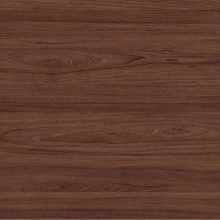 Вяз Швейцарский Lamarty