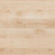 береза нордик Ламарти