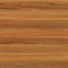 слива Ламарти