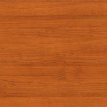 вишня академия 003 Ламарти