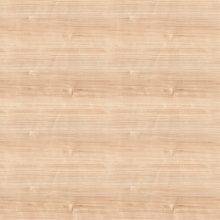 вишня гамильтон Ламарти